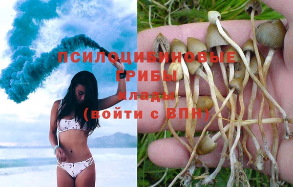 спиды Абаза