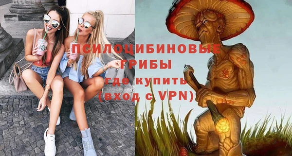 спиды Абаза
