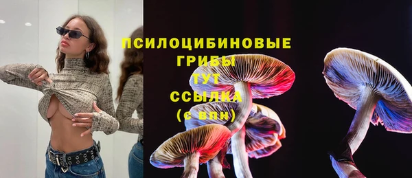 синтетический гашиш Абинск
