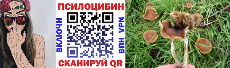 Галлюциногенные грибы Psilocybine cubensis Мосальск