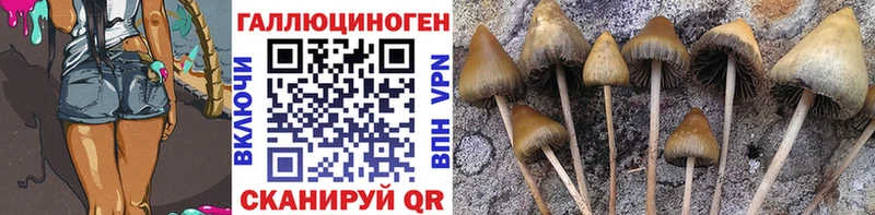 Псилоцибиновые грибы мухоморы  Мосальск 